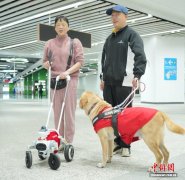 深圳地铁智能导盲犬上线服务